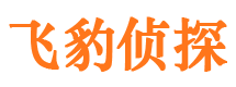 白河市侦探公司